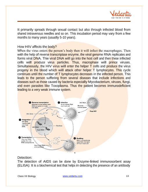 darwin's theory of evolution notes