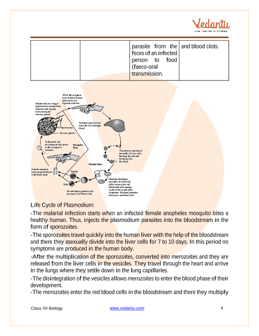 Revision Notes of CBSE class 12 Biology