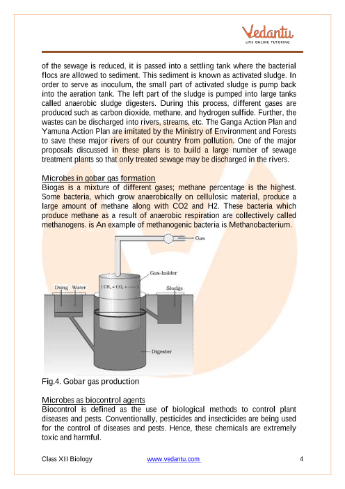 Revision Notes of CBSE class 12 Biology