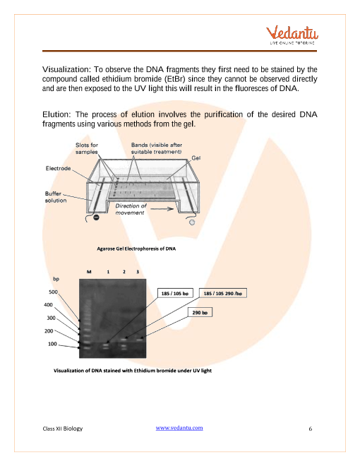 Revision Notes of CBSE class 12 Biology