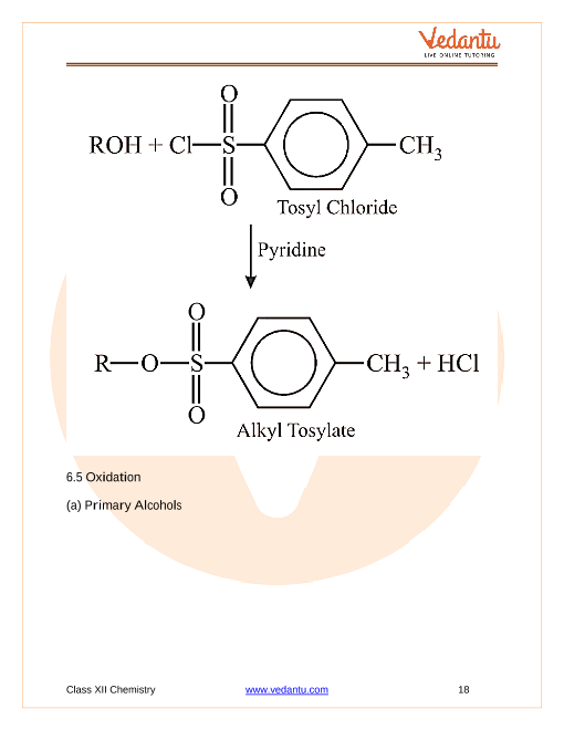 CBSE Class 12 Chemistry - Chapter 11 - Alcohols, Phenols And Ethers ...