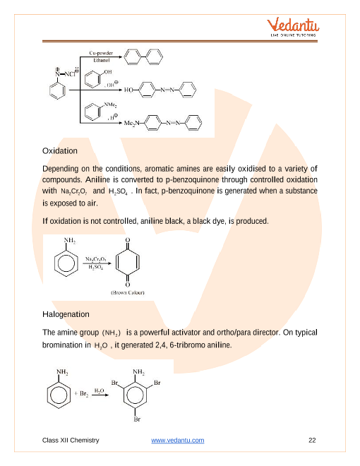 Revision Notes of CBSE class 12 Chemistry