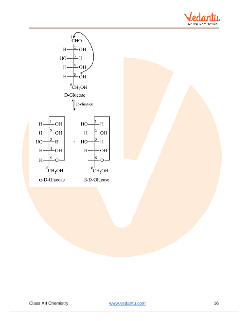 Revision Notes of CBSE class 12 Chemistry