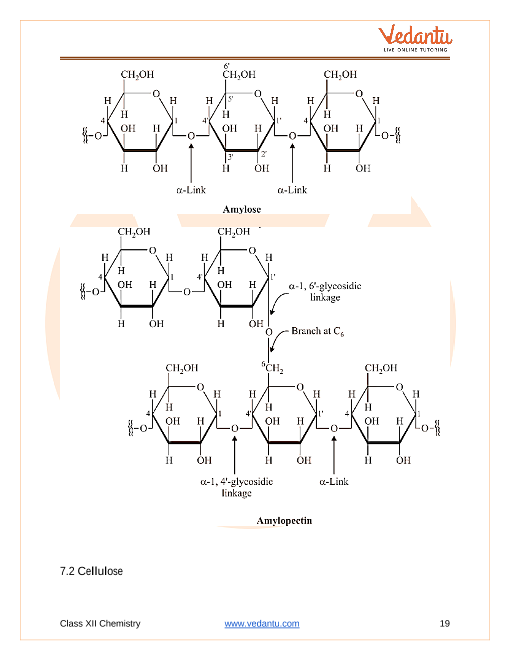 Revision Notes of CBSE class 12 Chemistry