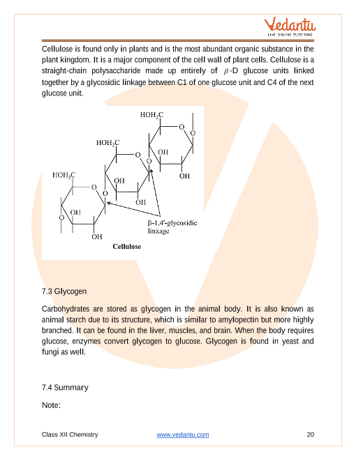 biomolecules class 12 chemistry assignment