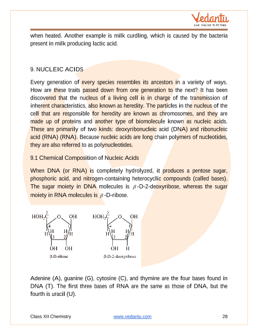 Revision Notes of CBSE class 12 Chemistry