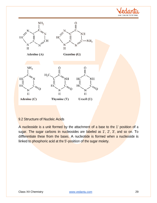 Revision Notes of CBSE class 12 Chemistry