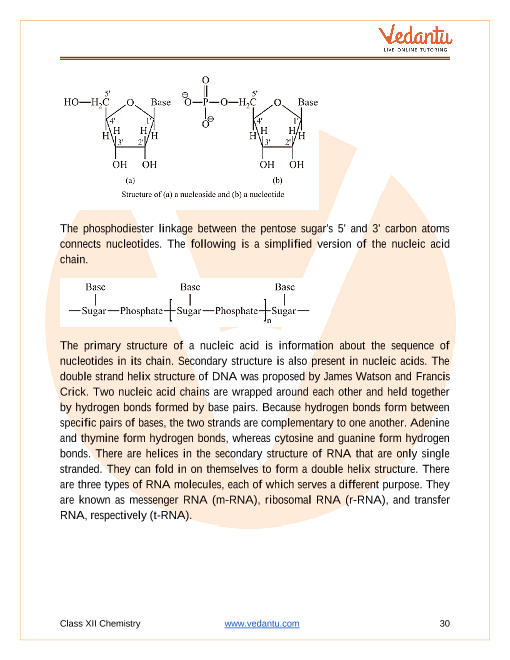 Revision Notes of CBSE class 12 Chemistry