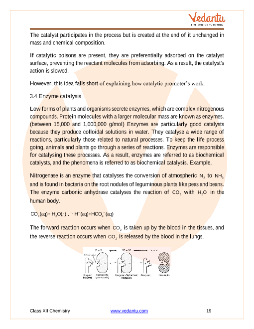 Revision Notes of CBSE class 12 Chemistry