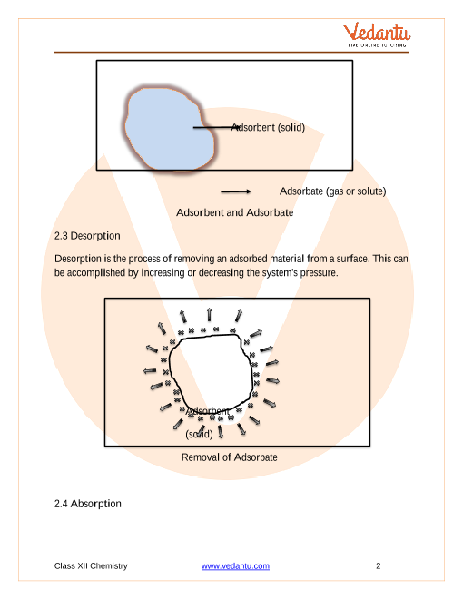 Revision Notes of CBSE class 12 Chemistry