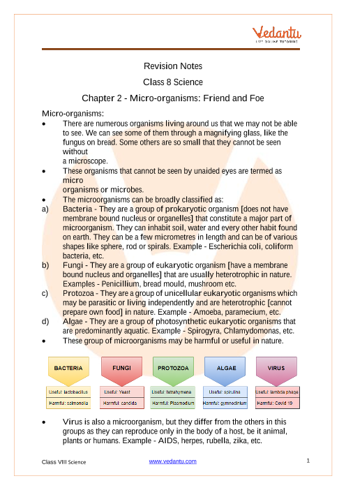 case study for science class 8