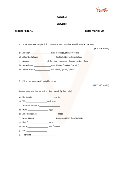 Cbse Class 3 English Sample Paper Set Q English Exam Paper Class 3 