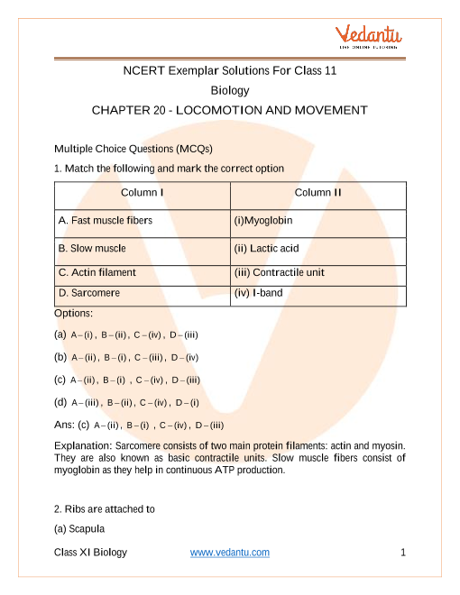 NCERT Exemplar For Class 11 Biology Chapter 20 - Locomotion And ...