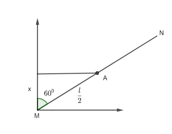 A rod of mass m and length l is made to stand at an angle of ${60^0 ...