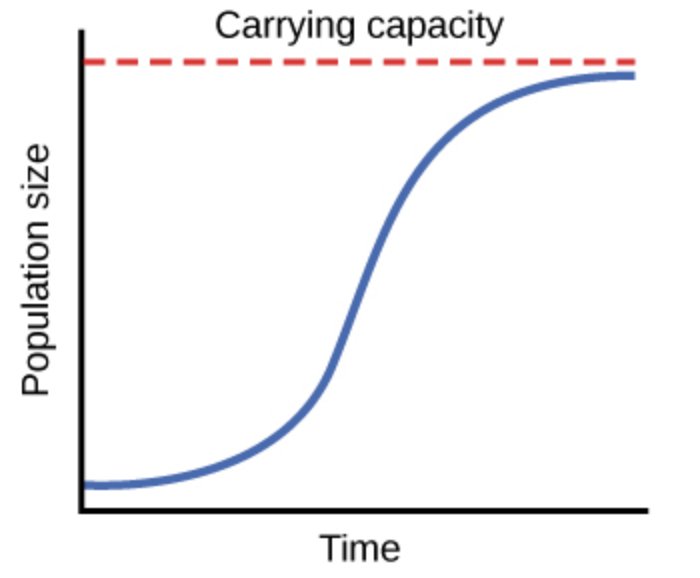 asymptote-in-a-logistic-growth-curve-is-obtained-when-a-k-n