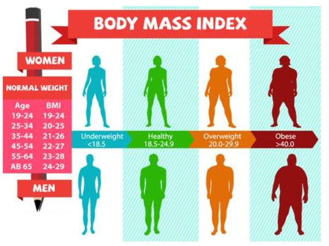 Mention the formula to calculate the BMI(body mass index).