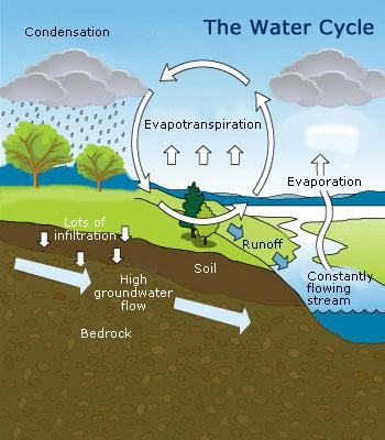 water cycle diagram for 6th grade