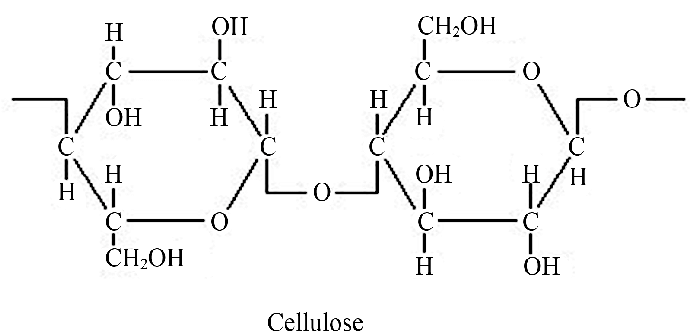cellulose molecule