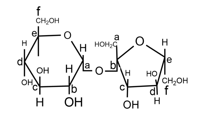 structure of glucose and fructose - Overview, Structure, Properties & Uses