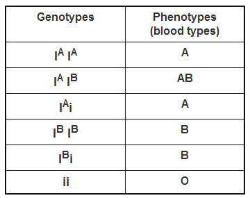 Blood Type Allele Chart