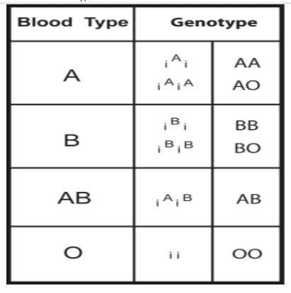 The Abo Blood Types Are Named For