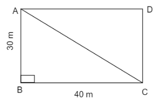 A rectangular field is of dimension $40\\,m$ by $30\\,m$. What distance ...