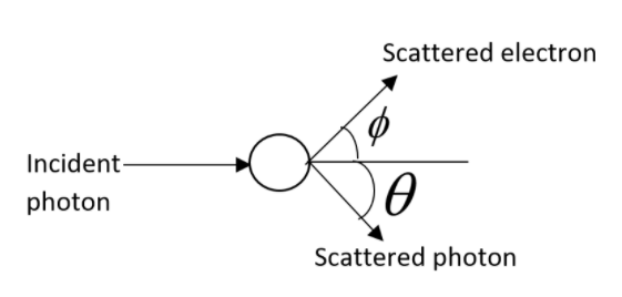 A photon of wavelength $\\lambda $ is scattered from an electron, which ...