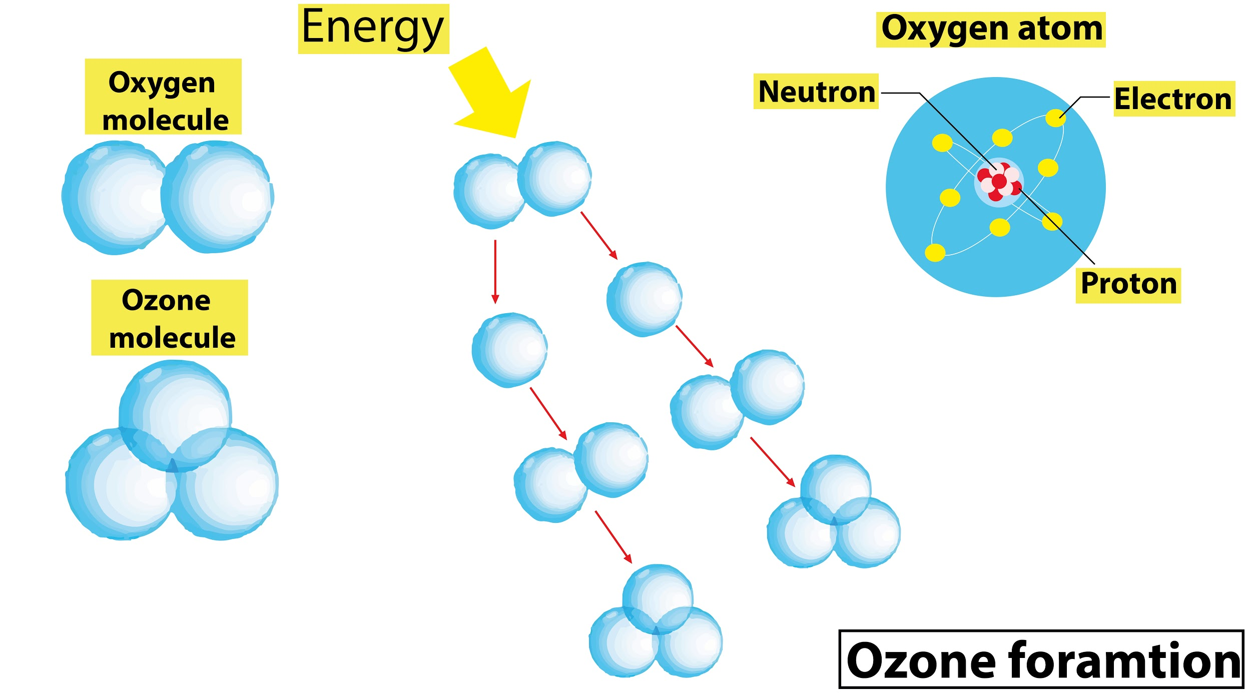 What Is Ozone Layer Class 9th