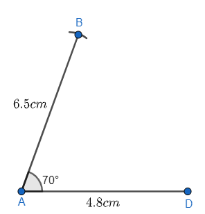 Draw a parallelogram \\[ABCD\\] in which \\[AB=6.5cm\\], \\[AD=4.8cm ...
