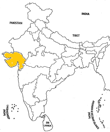 Gujrat In India Map Which Side Is Gujarat In India Class 6 Social Science Cbse