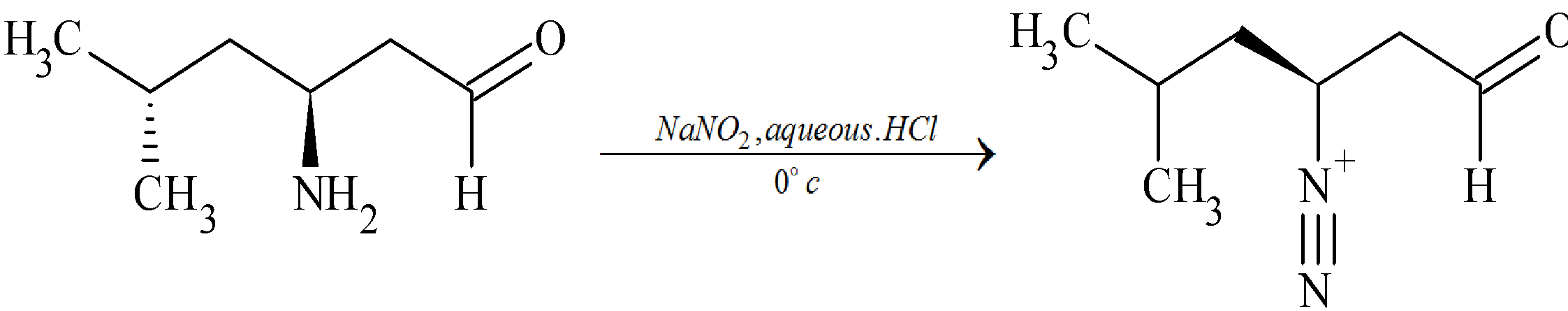 The major product of the reaction:\n \n \n \n \n (A) \n \n \n \n \n (B ...