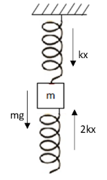 A block of mass \\[m\\] is connected to two springs of spring constant ...