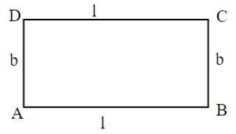 Find The General Rule For The Perimeter Of A Rectangle. Use Variables ...