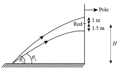 A vertical pole has a red mark at some height. A stone is projected ...