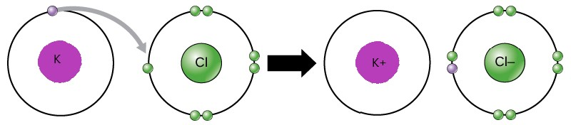 In Potassium Chloride Ionic Bond Formation Takes Place Between Potassium And Chloride A TrueB 