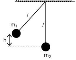 In the arrangement shown, the pendulum on the left is pulled aside. It