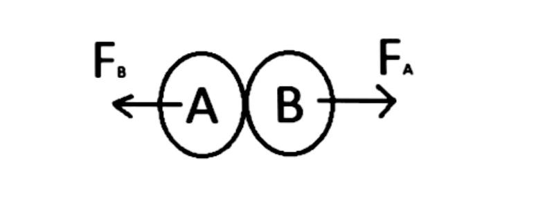 what-does-action-reaction-force-mean