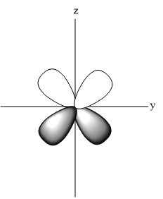 What is the shape of orbitals ${{d}_{xy}},{{d}_{xz,}}{{d}_{yz,}}{{d ...