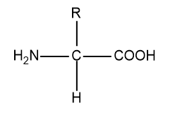 Which one of the following acids does not exhibit optical isomerism?(A ...