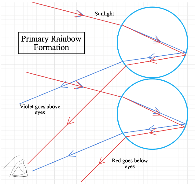 state-any-two-differences-between-primary-and-secondary-rainbow