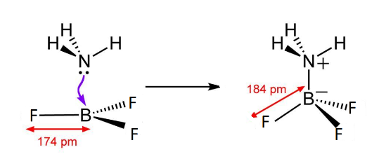 The formation of molecular complex BF3 NH3 results class 11 chemistry ...