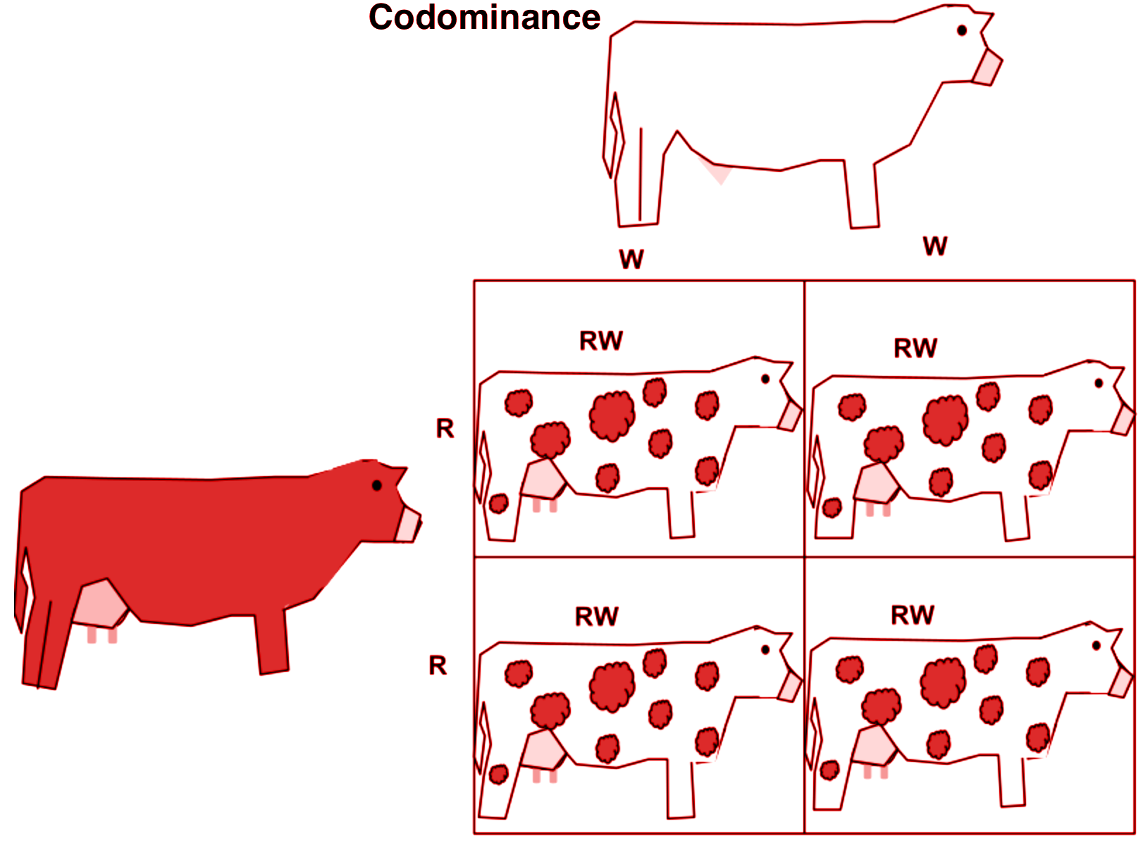 codominance dominance definition biology