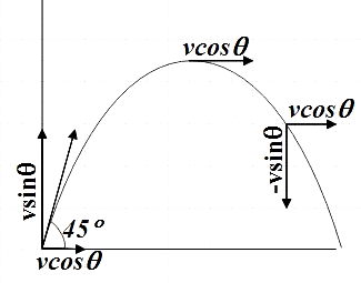 A Projectile Of Mass M Is Fired With Velocity V From A Point P At 