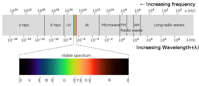 why-can-transverse-waves-travel-in-a-vacuum