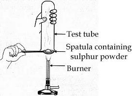 Pratyush Took Sulphur Power On A Spatula And Heated It. He Collected ...