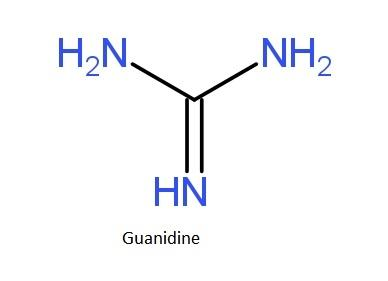 Guanidino Is Present In The Amino Acid Class 12 Chemistry Cbse