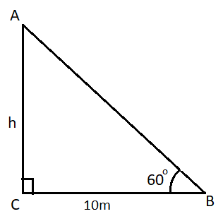 The angle of elevation of the tip of a flag staff from a point 10 m due ...