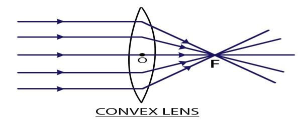 When rays of light fall on a convex lens, it A) Converges themB) Does ...