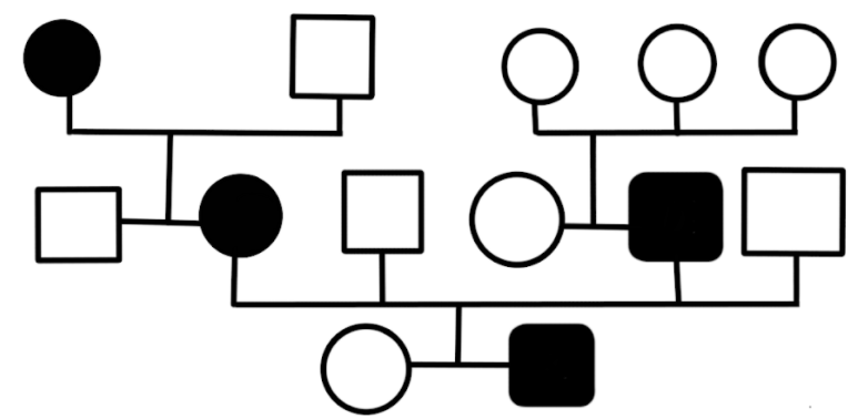 autosomal dominant pedigree