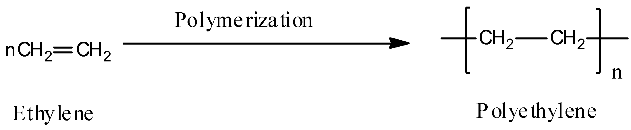 Polymerization of ethylene gives .A PropyleneB AcetyleneC